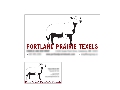 Portland Prairie Texels Business Card