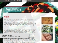 Literary Journal Website
